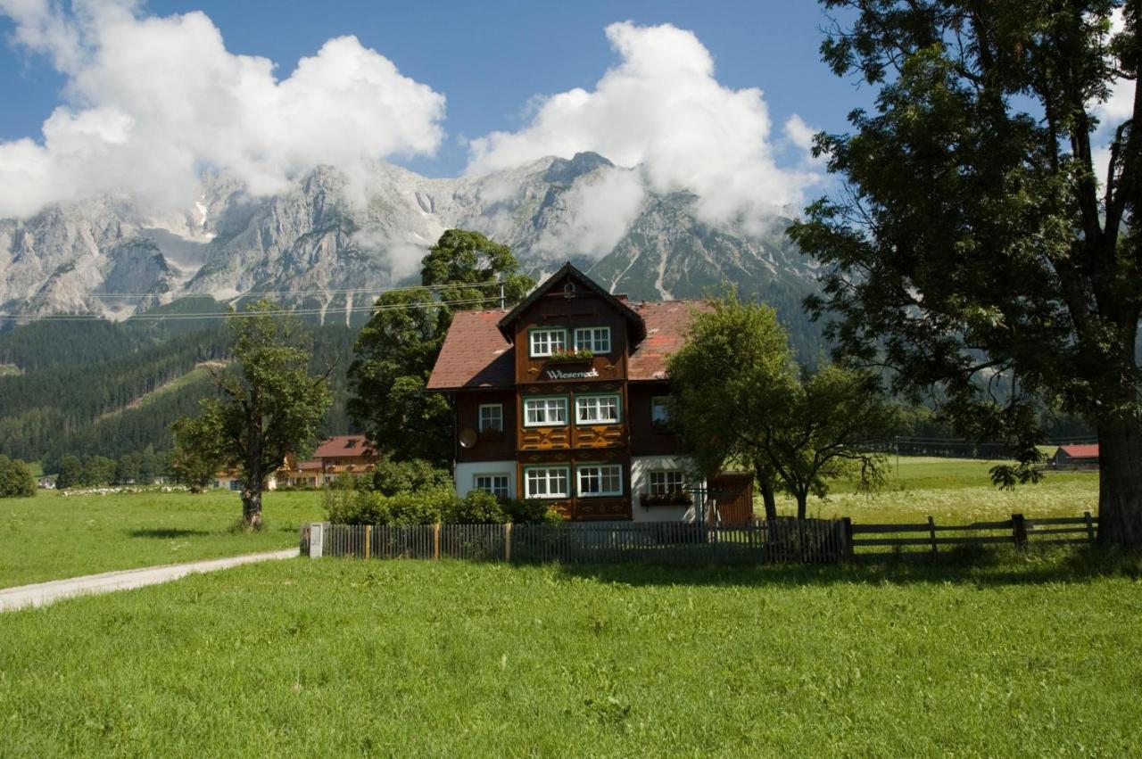 Appartements Wieseneck - Ramsau Am Dachstein - Inklusive Sommercard ! Ramsau am Dachstein Εξωτερικό φωτογραφία