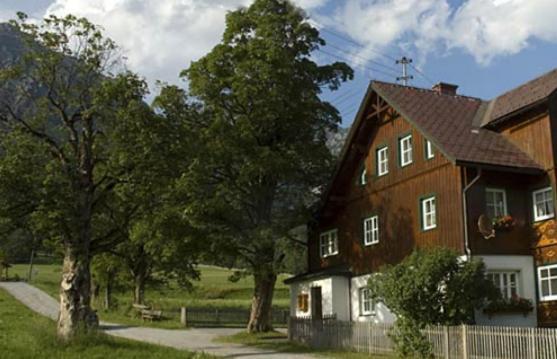 Appartements Wieseneck - Ramsau Am Dachstein - Inklusive Sommercard ! Ramsau am Dachstein Εξωτερικό φωτογραφία