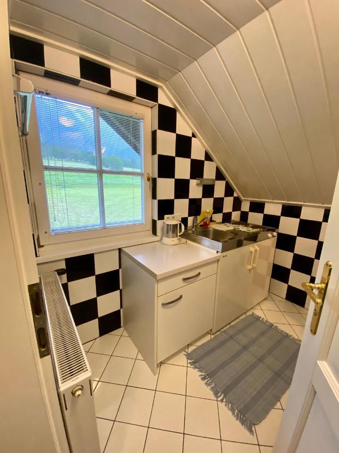Appartements Wieseneck - Ramsau Am Dachstein - Inklusive Sommercard ! Ramsau am Dachstein Εξωτερικό φωτογραφία
