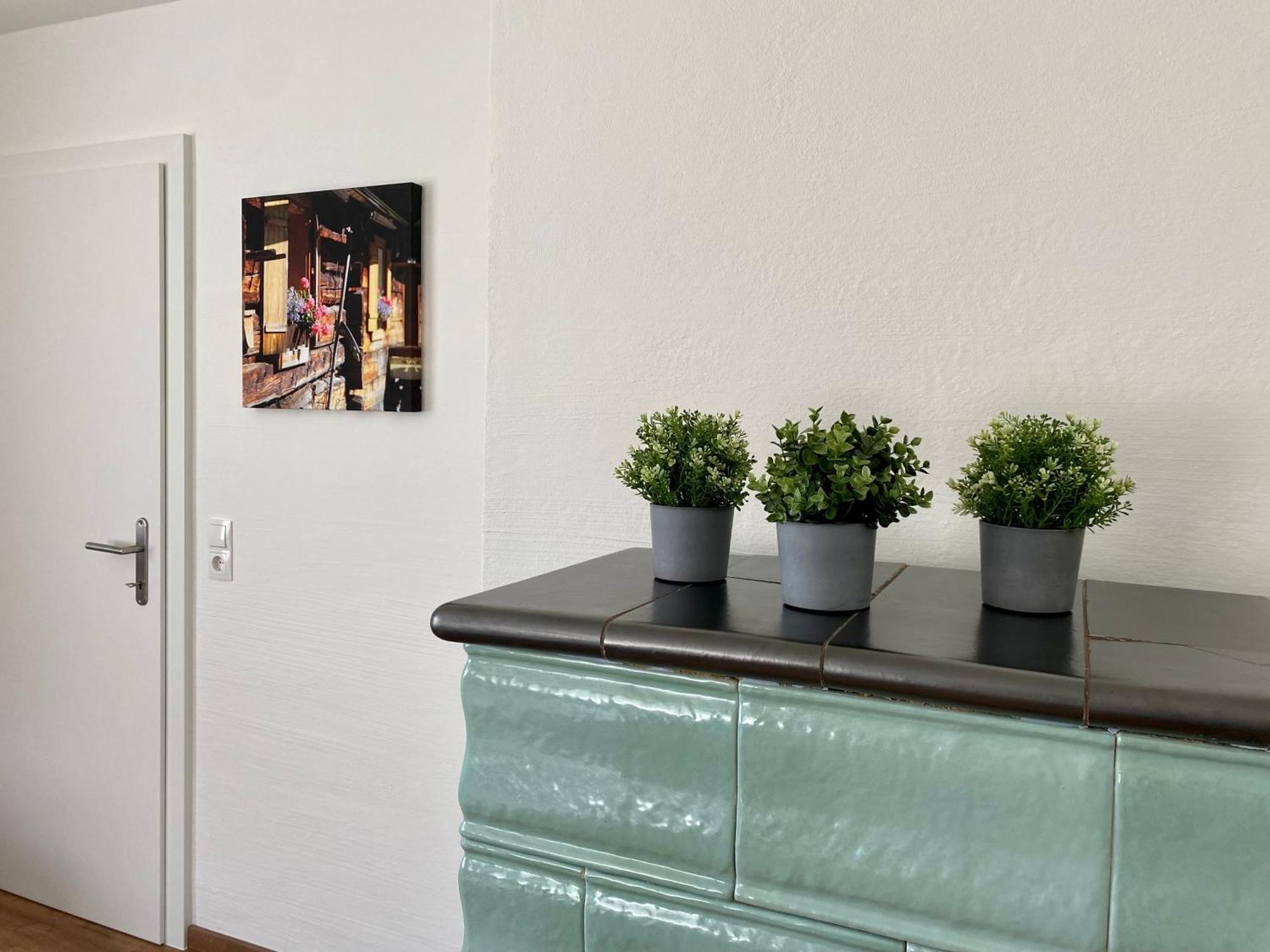 Appartements Wieseneck - Ramsau Am Dachstein - Inklusive Sommercard ! Ramsau am Dachstein Εξωτερικό φωτογραφία