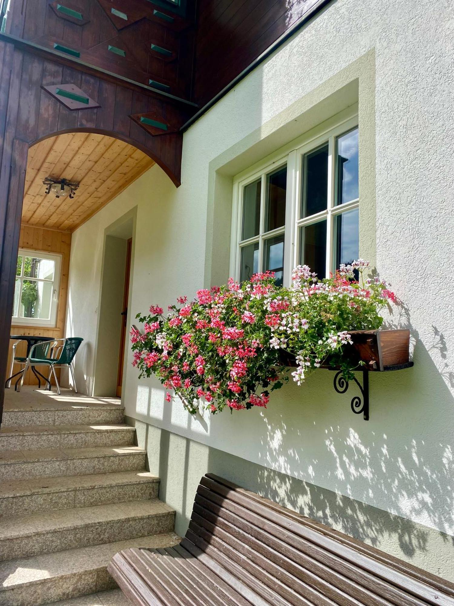 Appartements Wieseneck - Ramsau Am Dachstein - Inklusive Sommercard ! Ramsau am Dachstein Εξωτερικό φωτογραφία